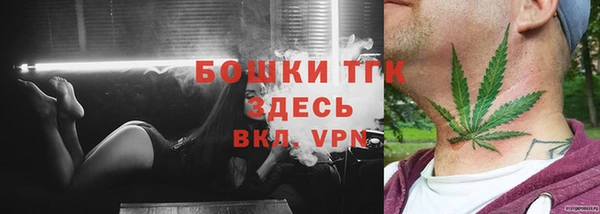 индика Верхний Тагил