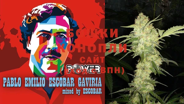 индика Верхний Тагил
