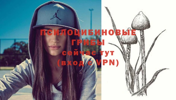 ПСИЛОЦИБИНОВЫЕ ГРИБЫ Богородск