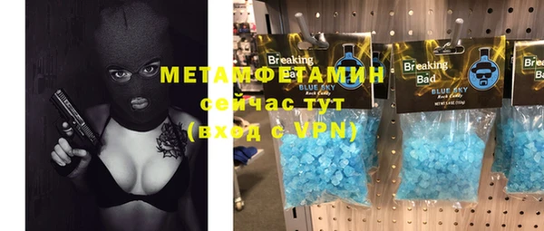 индика Верхний Тагил