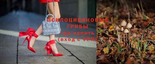 индика Верхний Тагил